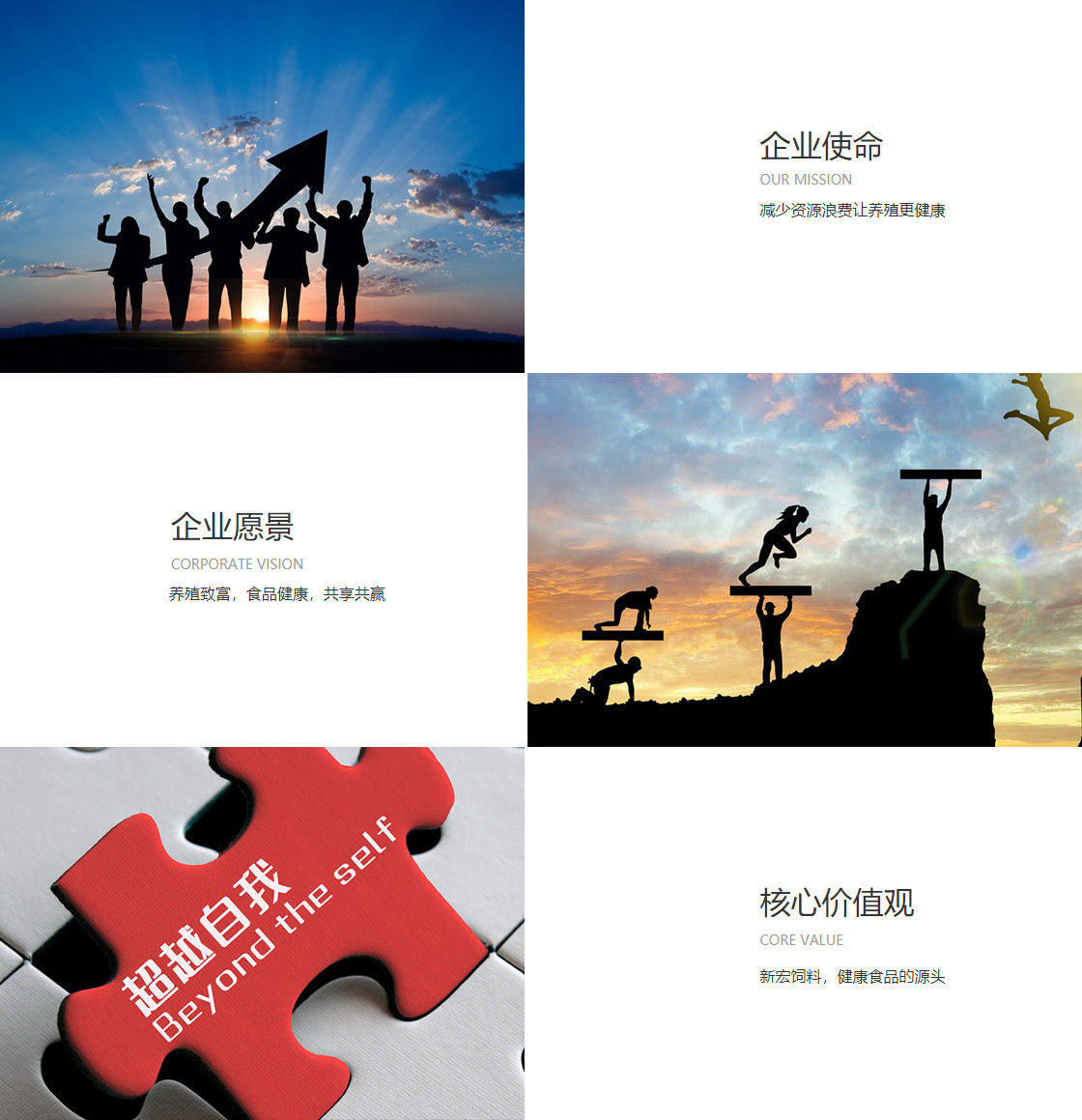 澳门太阳集团888(图1)